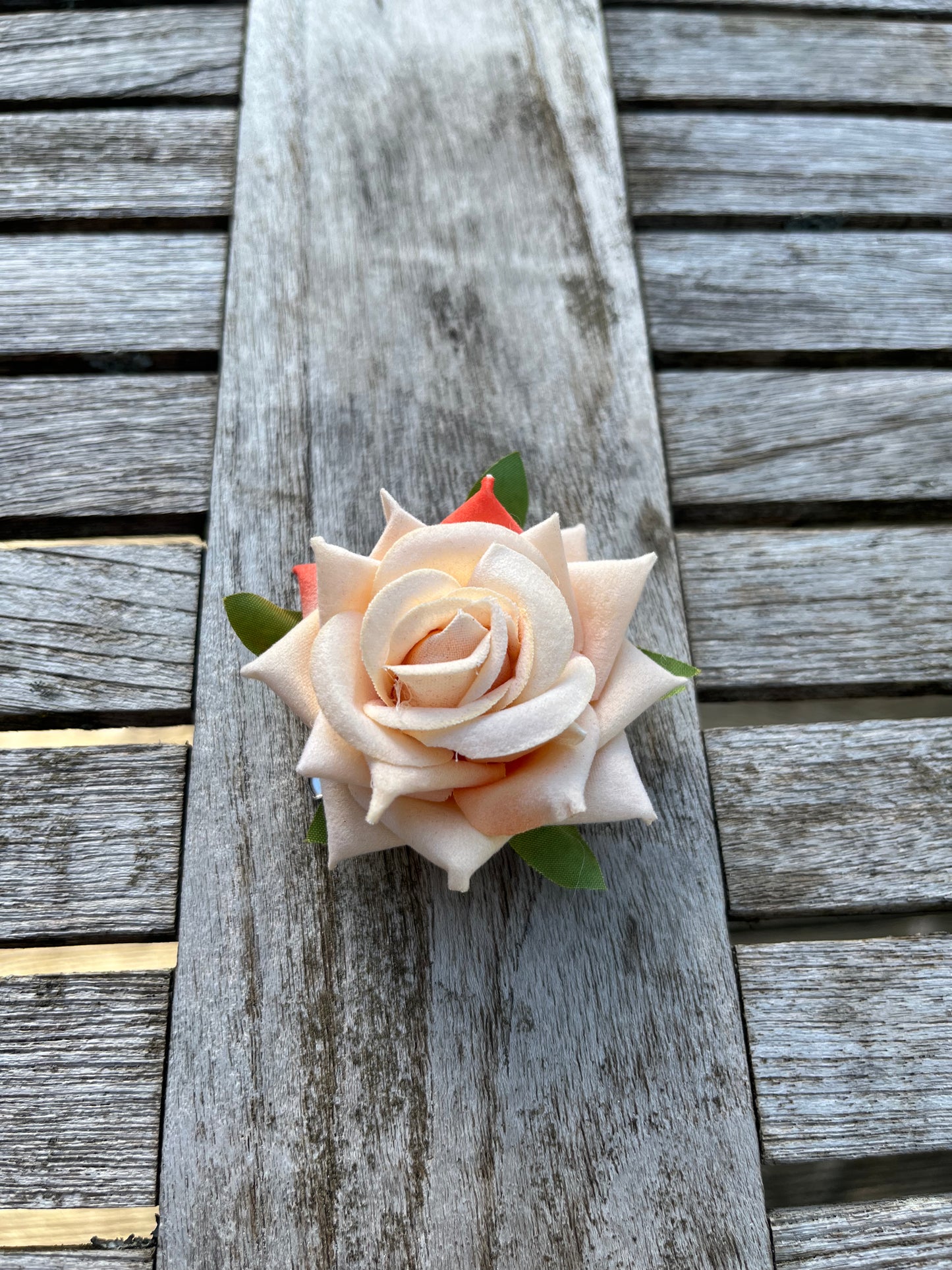 Anstreckrose