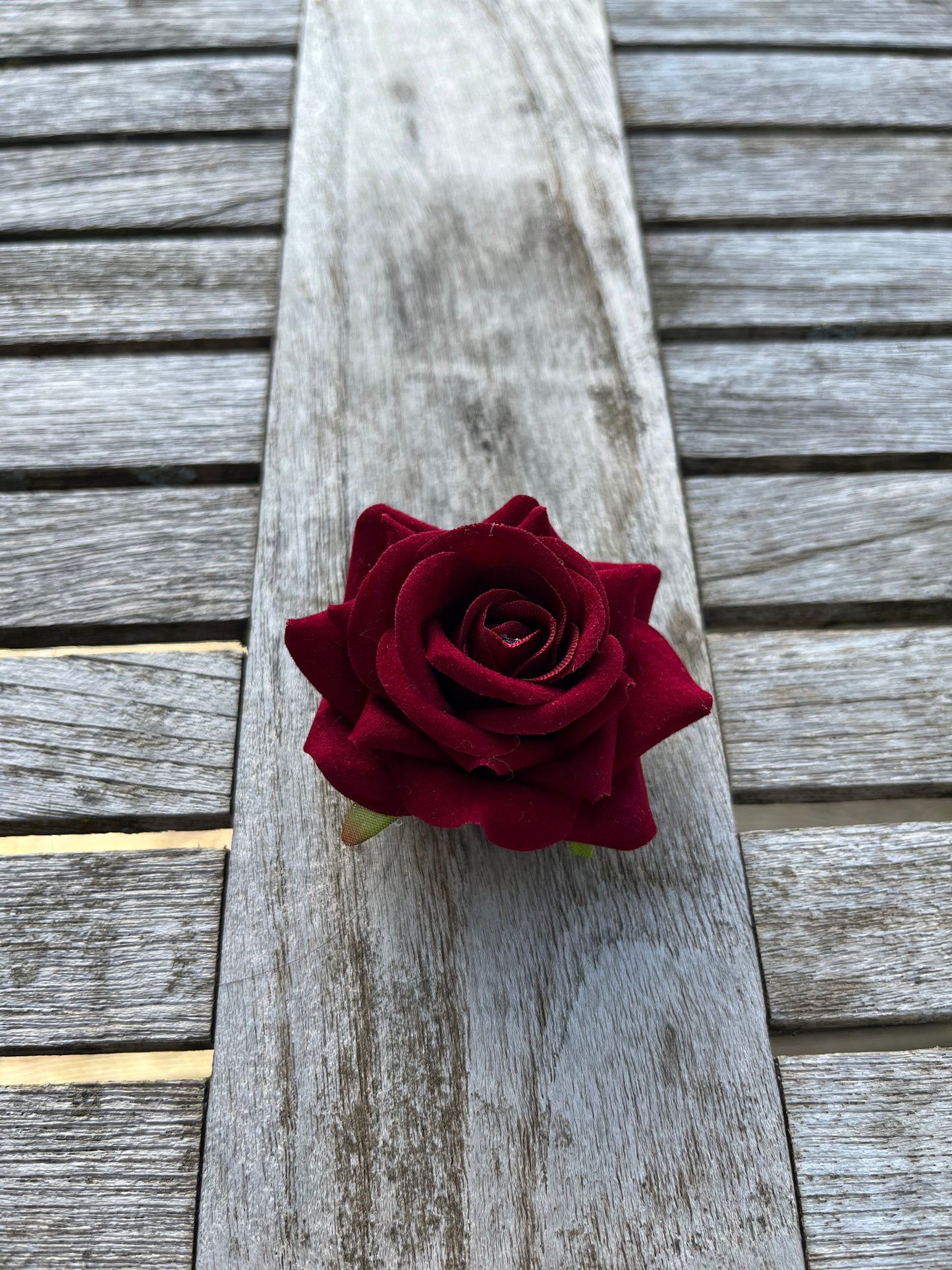 Anstreckrose