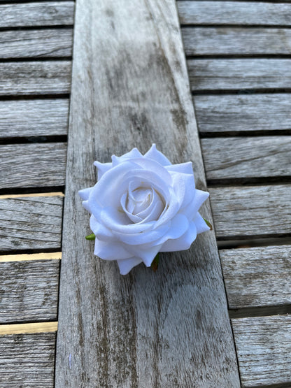 Anstreckrose