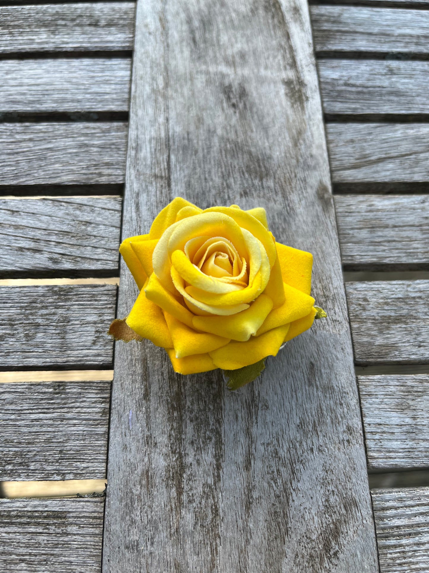 Anstreckrose