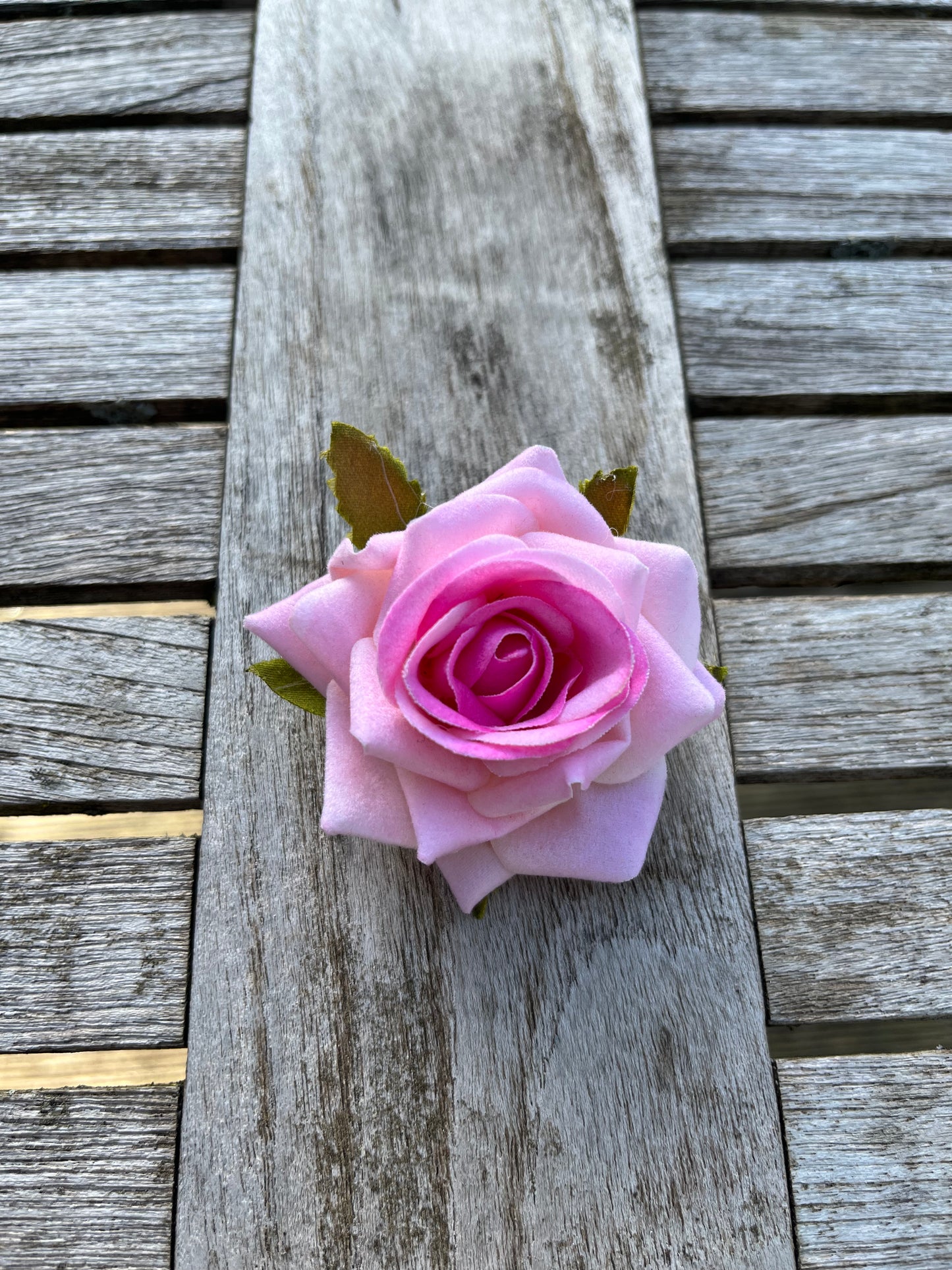 Anstreckrose
