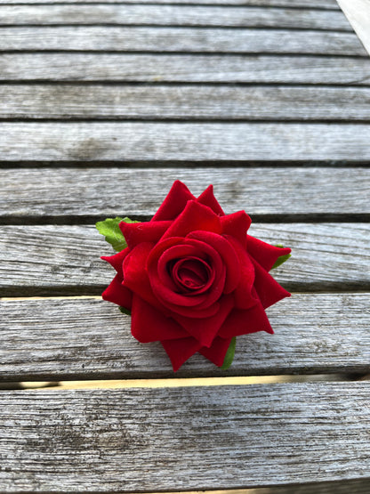 Anstreckrose