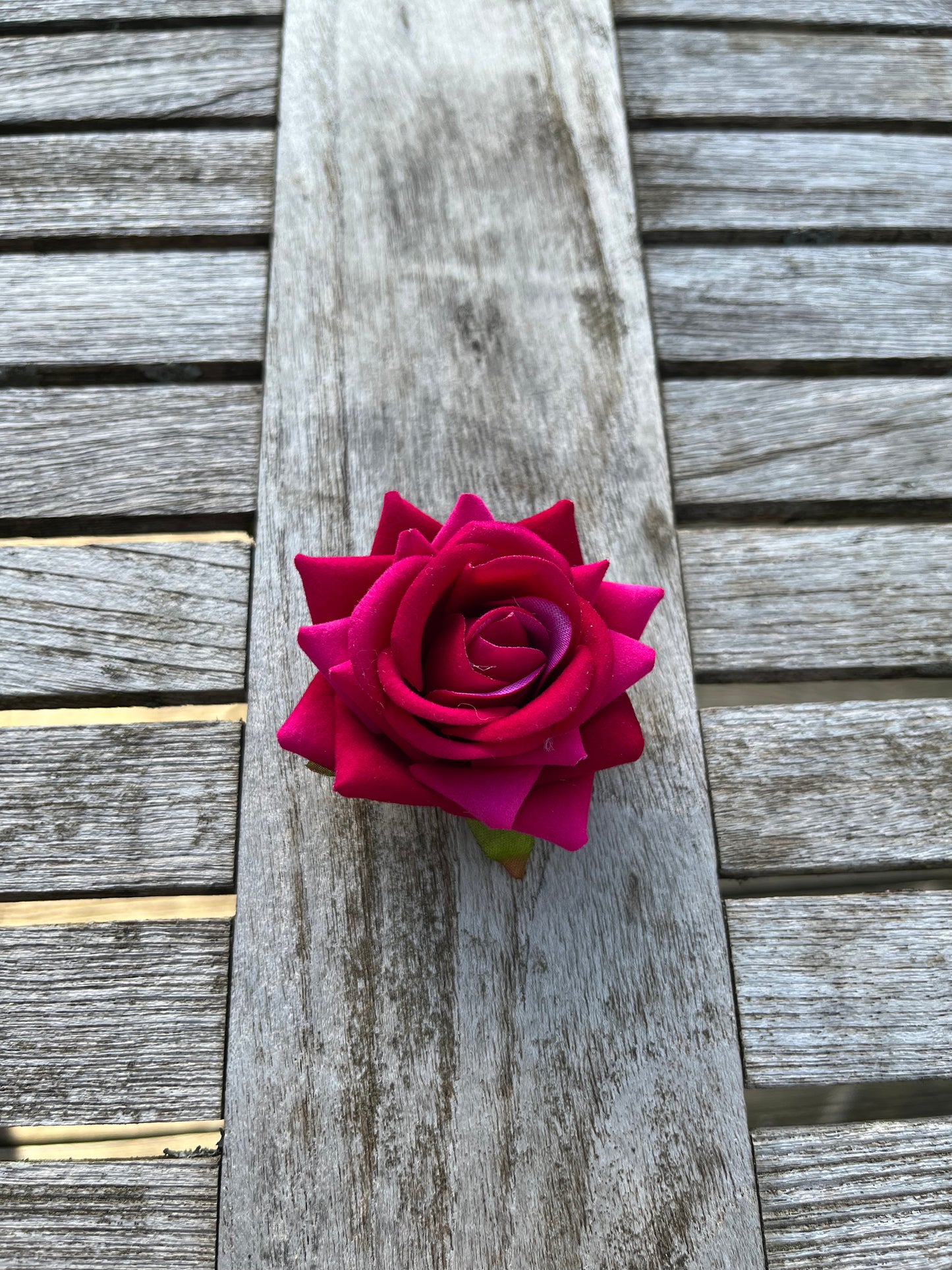 Anstreckrose